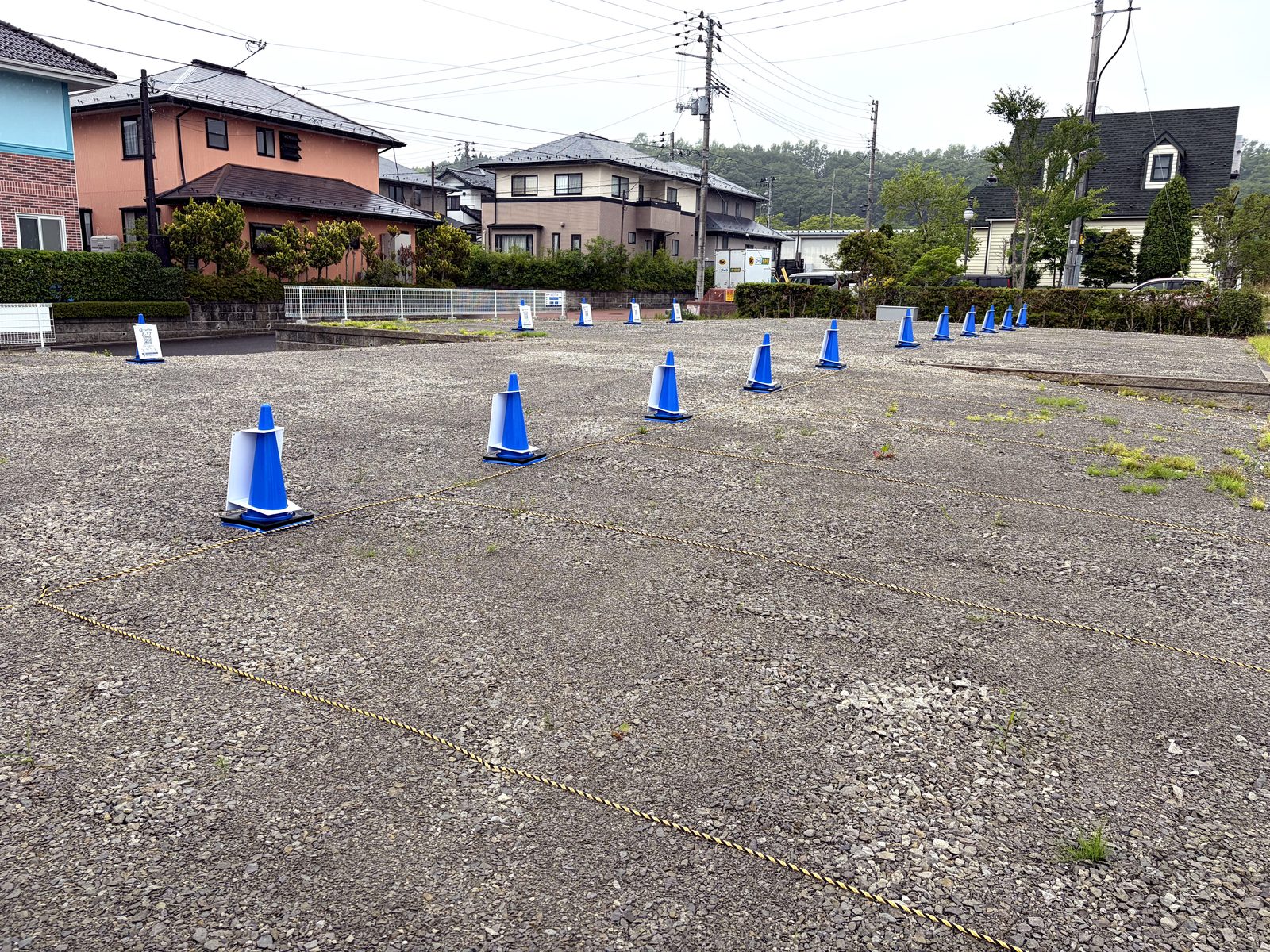 上空からの様子